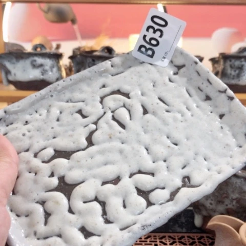 亮**子木有一点点的小姐姐