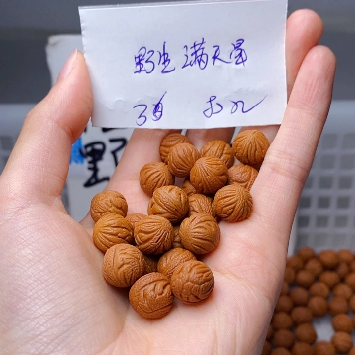 菩***空桃核手串12mm左右野生满天星36颗(打孔)