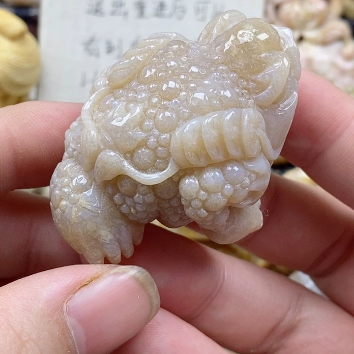 颈饰未镶嵌硅化珊瑚（珊瑚玉）有瑕