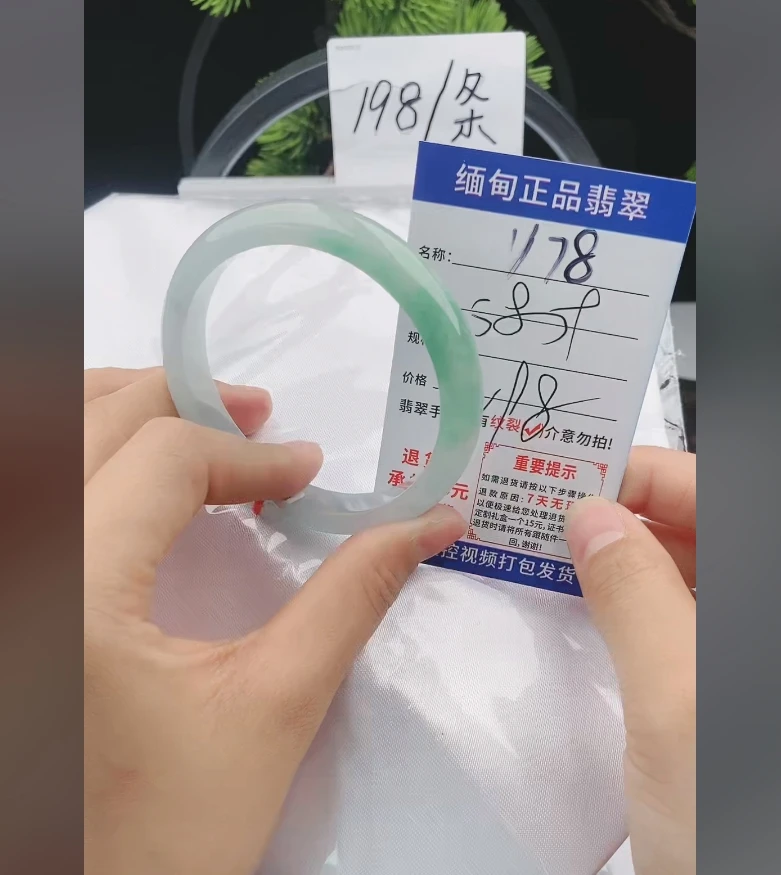 Y78缅甸翡翠手镯处理198/条【一物一证】实物以直播间为准