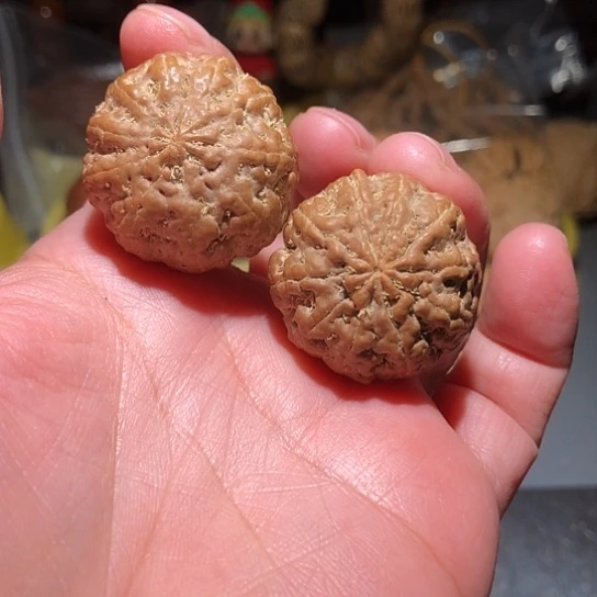 吊坠金刚菩提多瓣金刚手捻