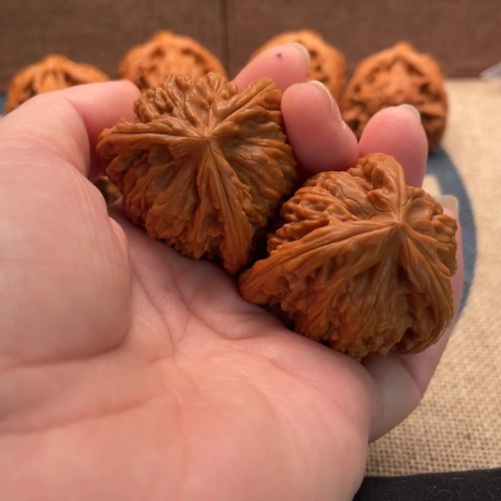 某***松核桃白狮子39核桃