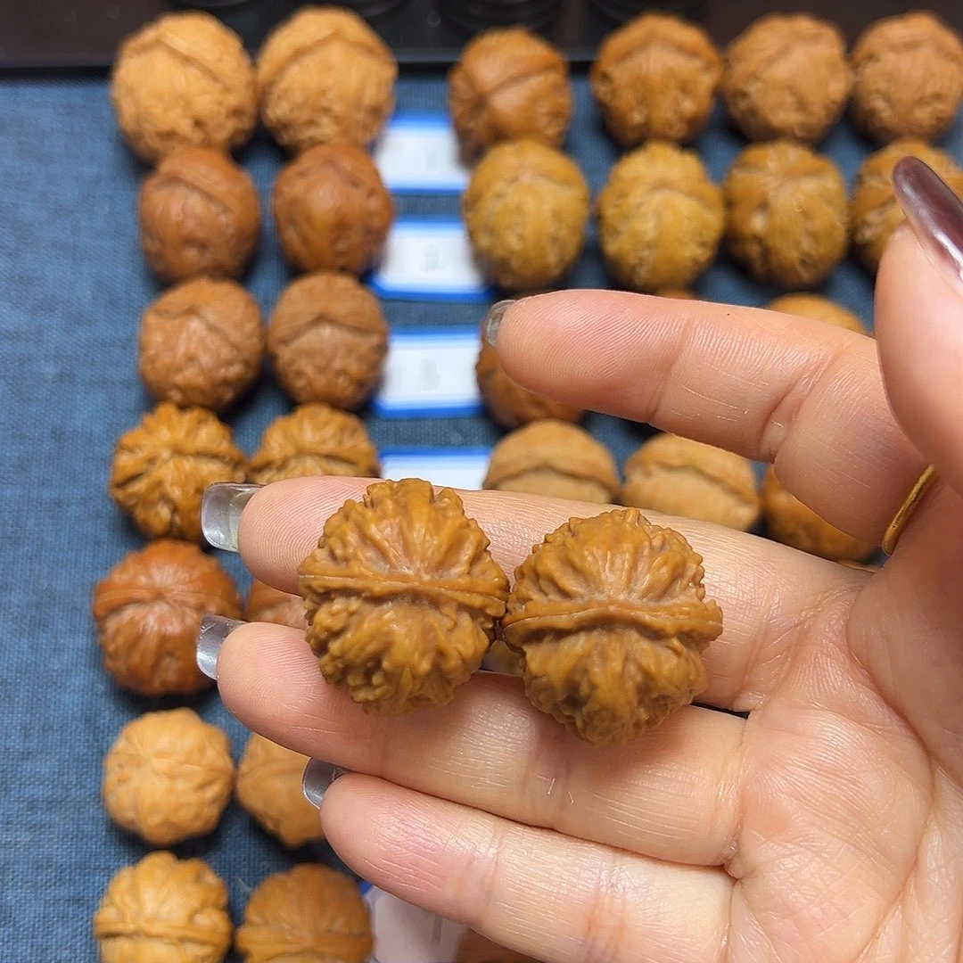 文玩核桃吊坠精品霸王龙28尺全品无修