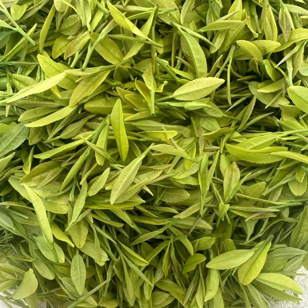白茶2025年新茶春茶高山兰花香嫩芽浓香耐泡鲜爽回甘