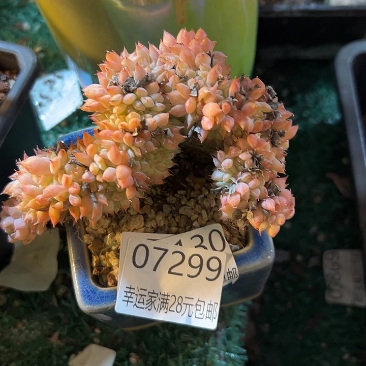 幸运的是我还没遇到过