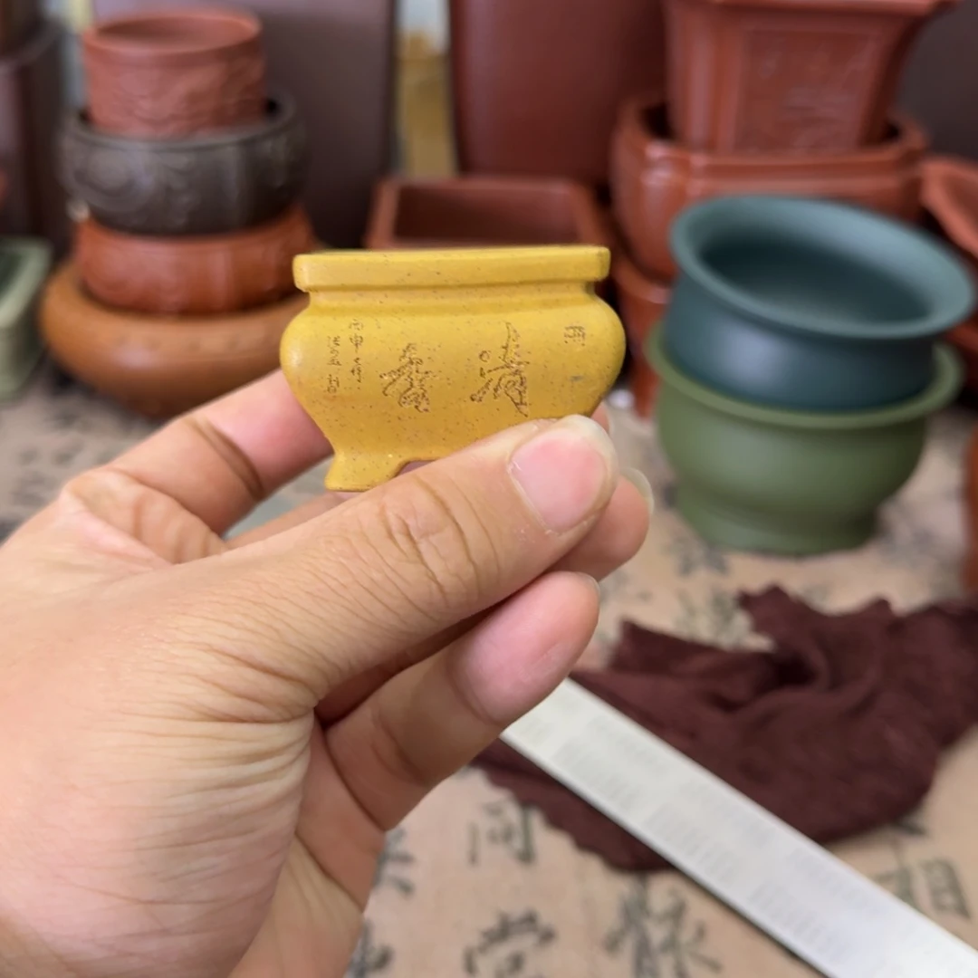 紫砂花盆宜兴紫砂正品4x2.5