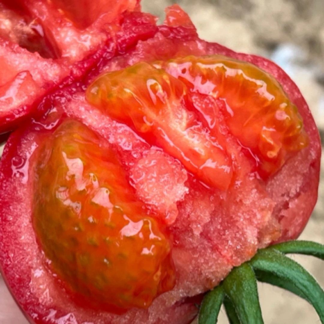 【京东/顺丰包邮】陕西泾阳普罗旺斯水果西红柿新鲜采摘3斤/4.5-5斤