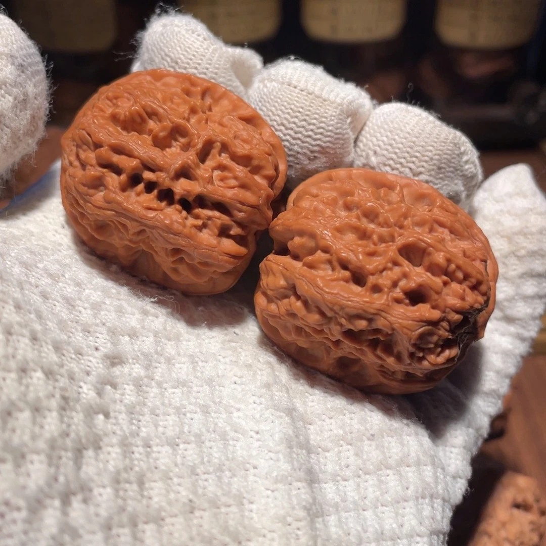 核桃西北将军jjjjj