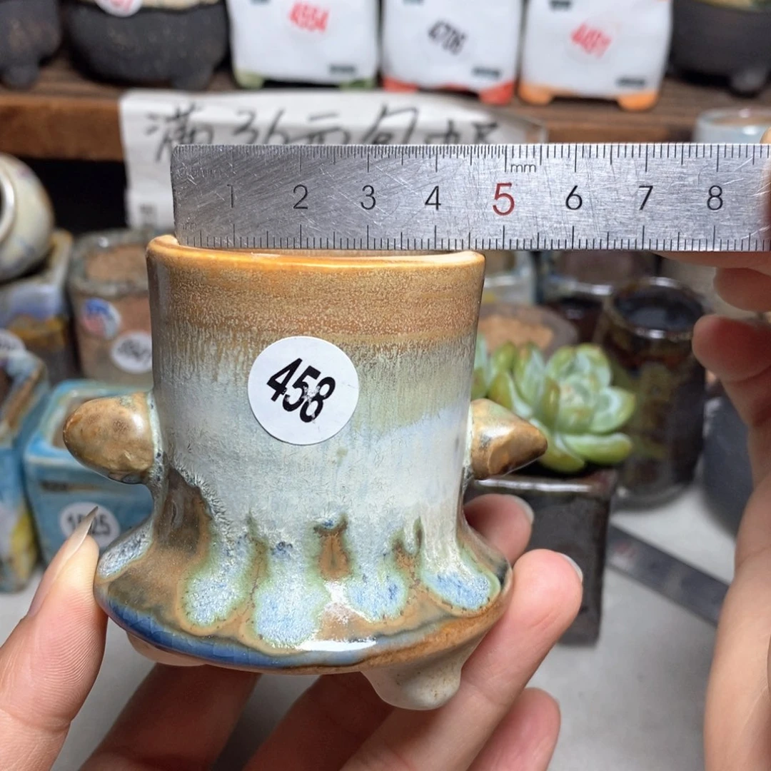 拍5送一个小礼物