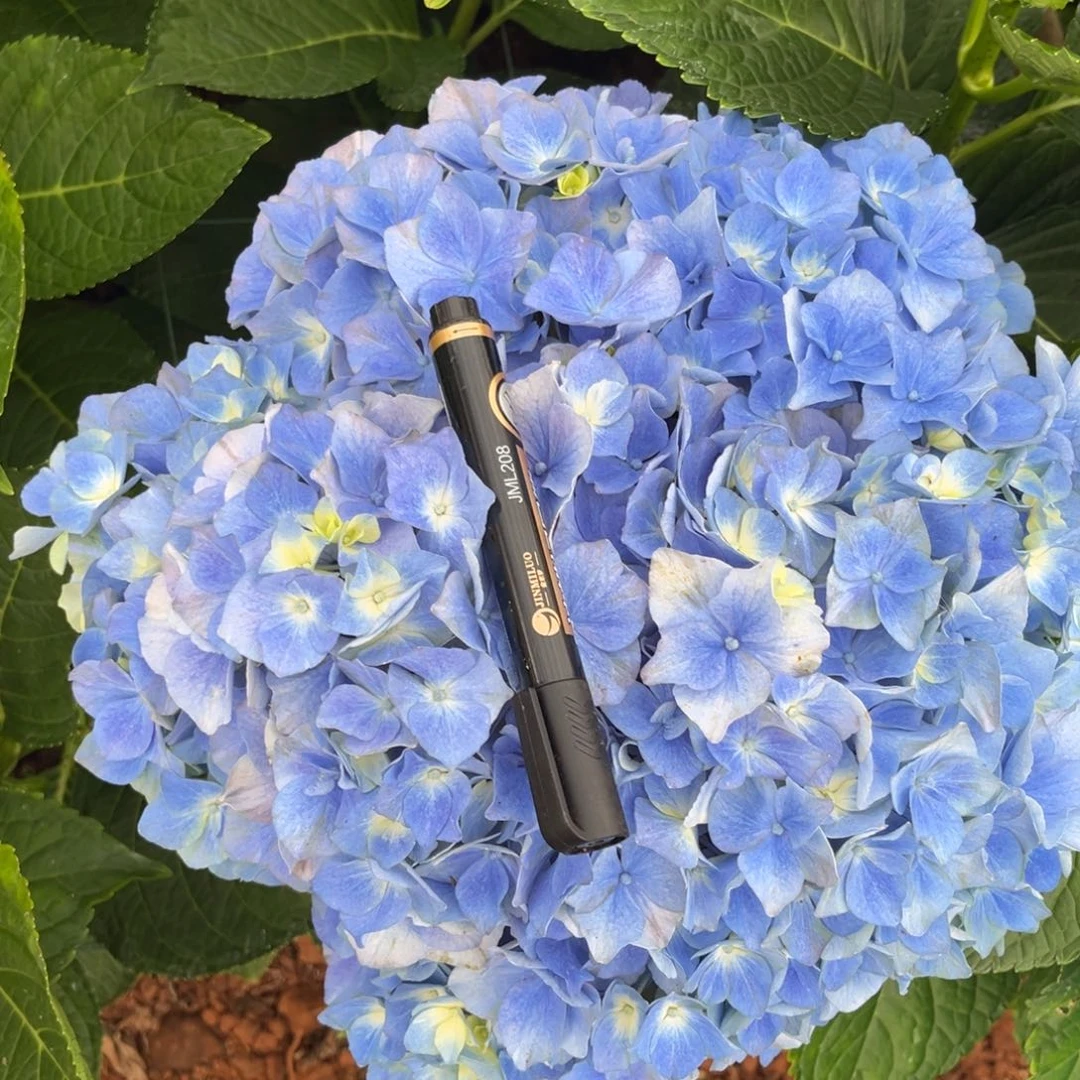 54号绣球花一支（3支包邮）