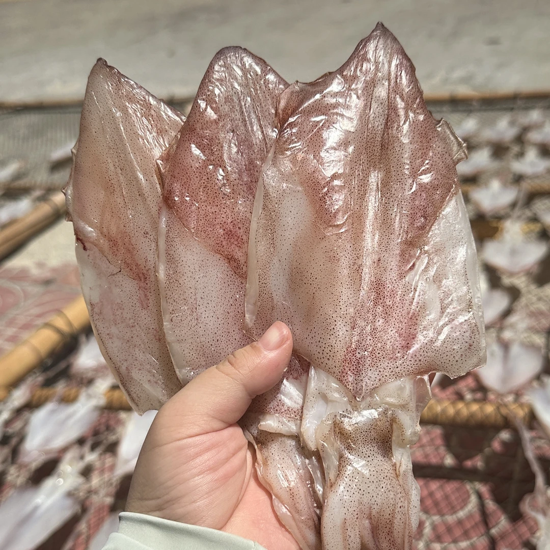 南澳本港自晒咸鱿鱼干半湿海产干货鱿鱼干宅鱿毛重500g