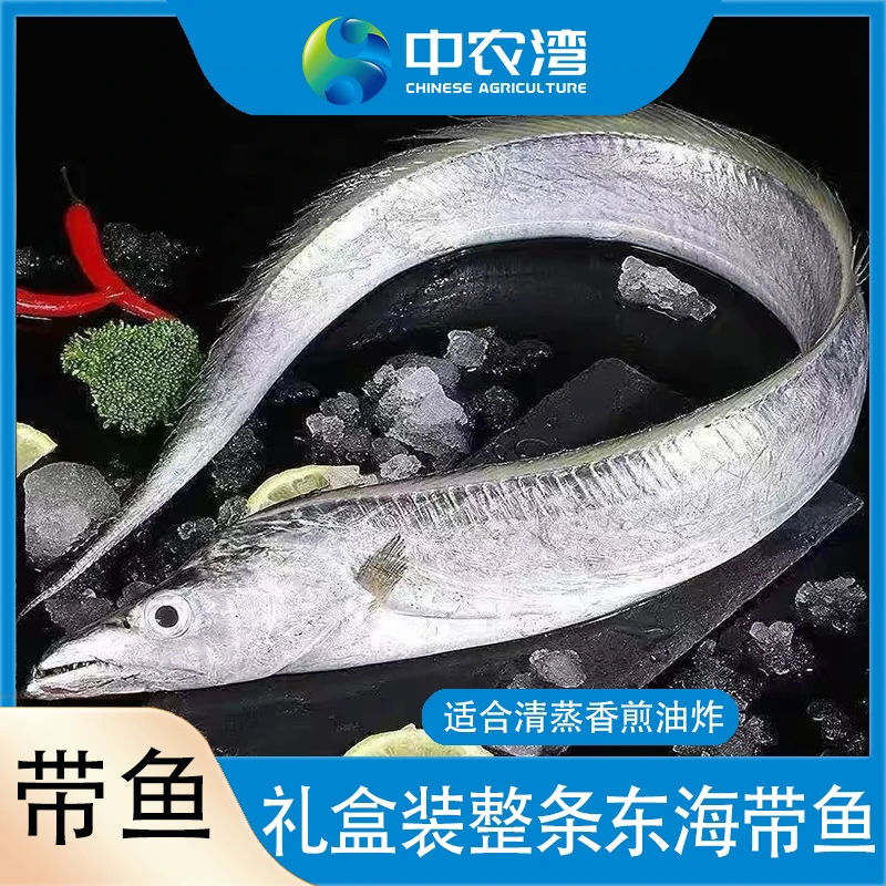 【中农湾】礼盒装原条东海小眼带鱼5斤/箱