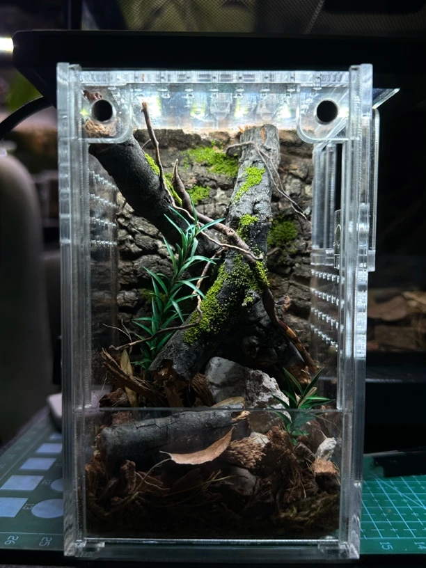 成品亚克力造景盒