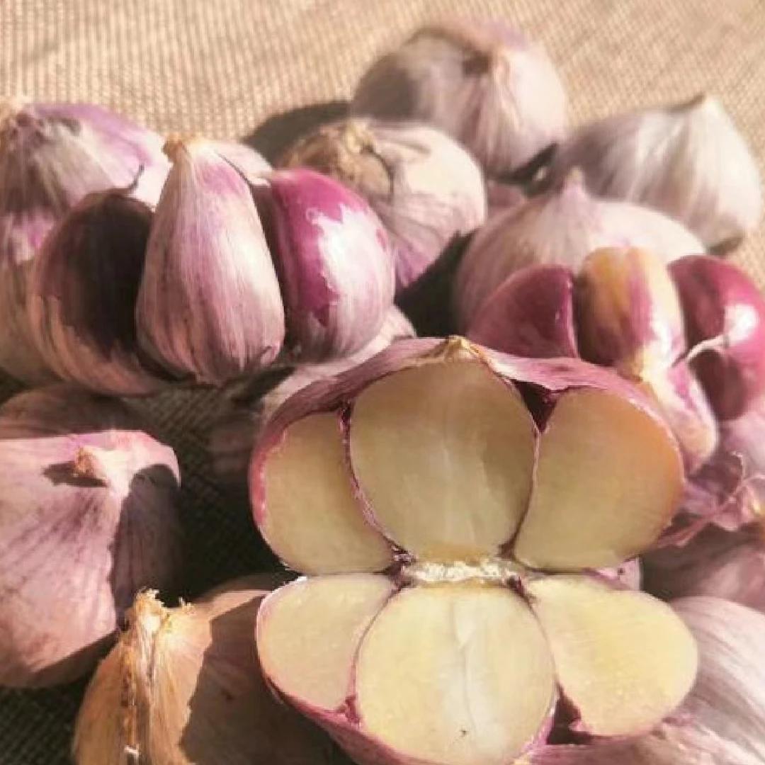 【小鑫】 农家特产代收山货紫皮瓣蒜