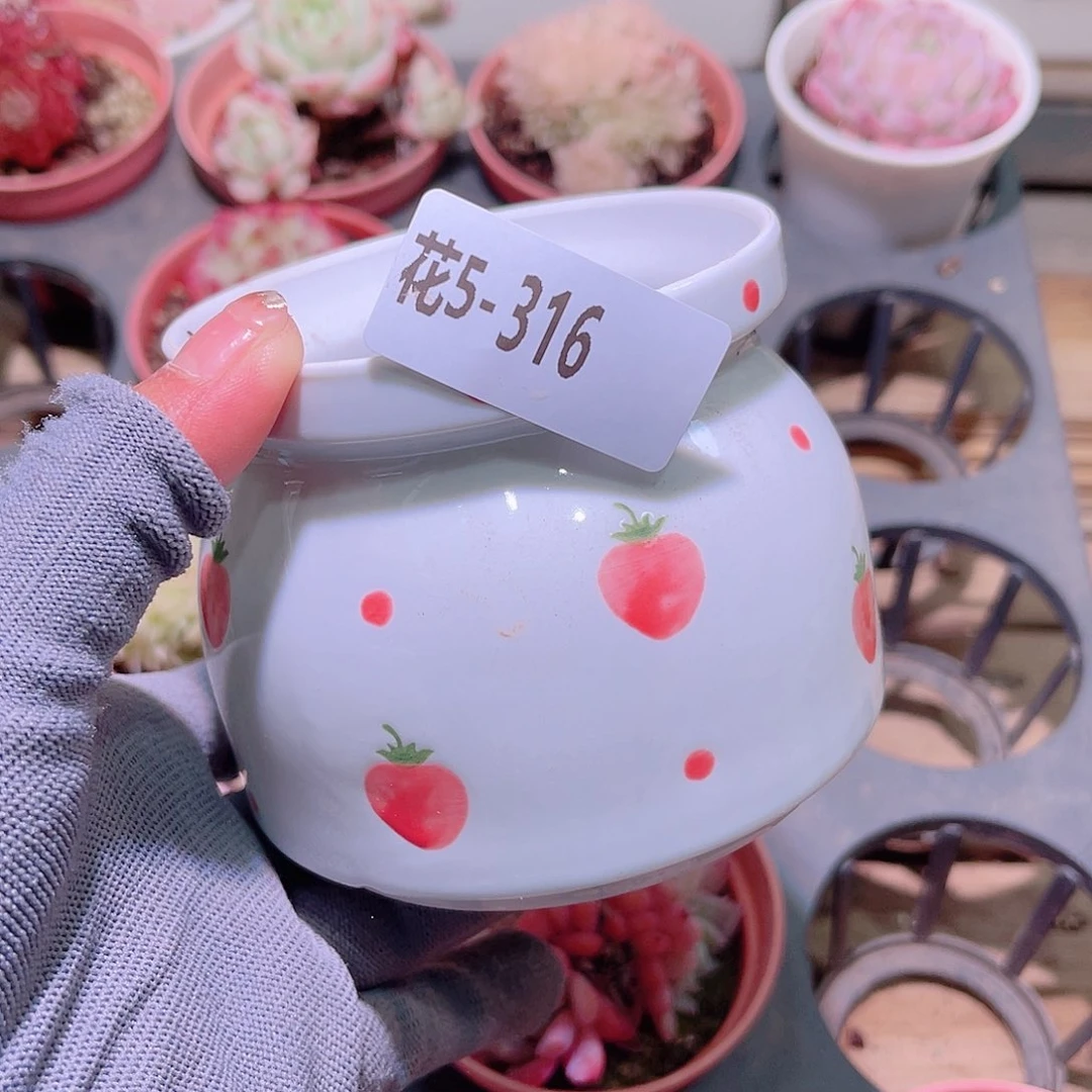 花05-316花盆一个