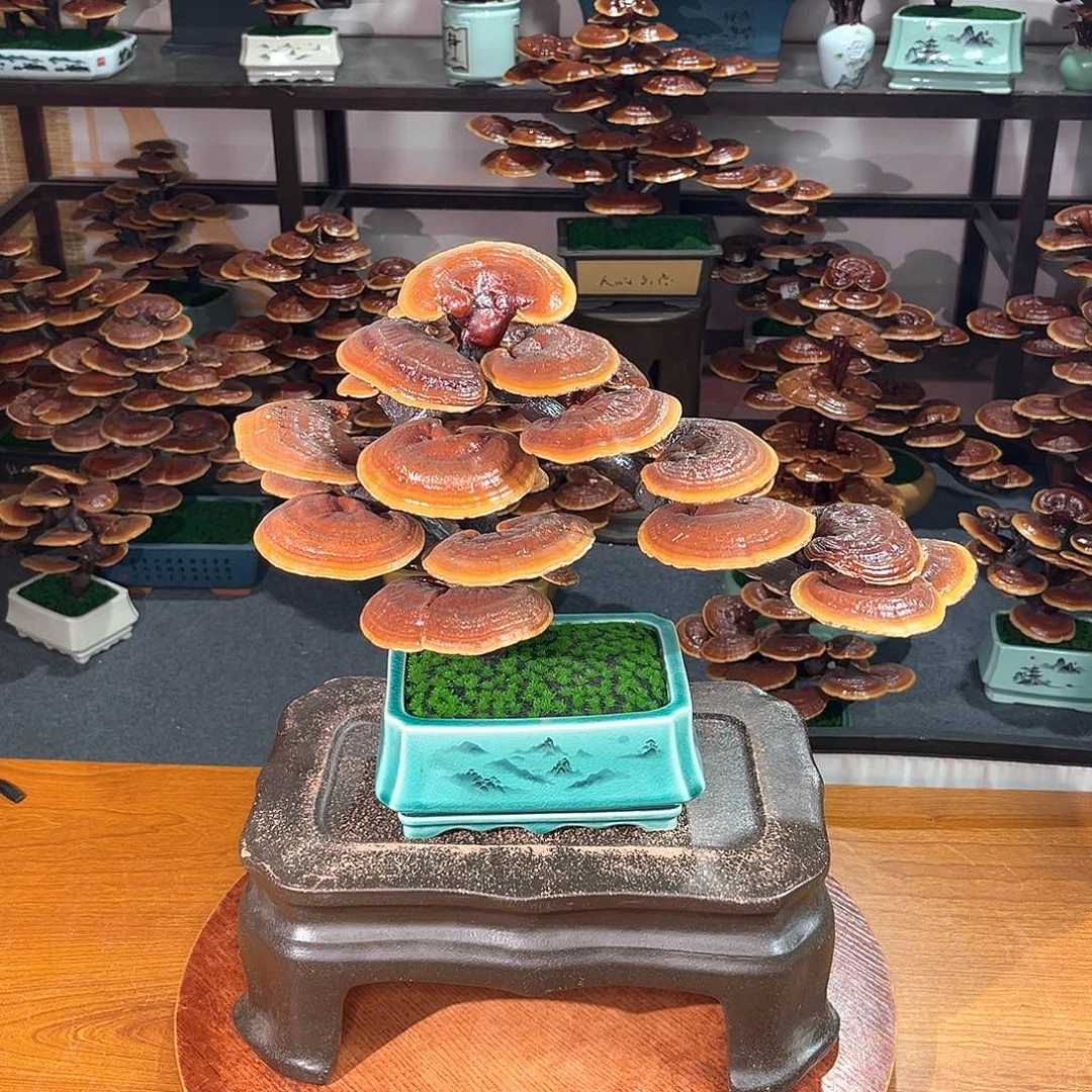 无花朵万事如意88888888585555