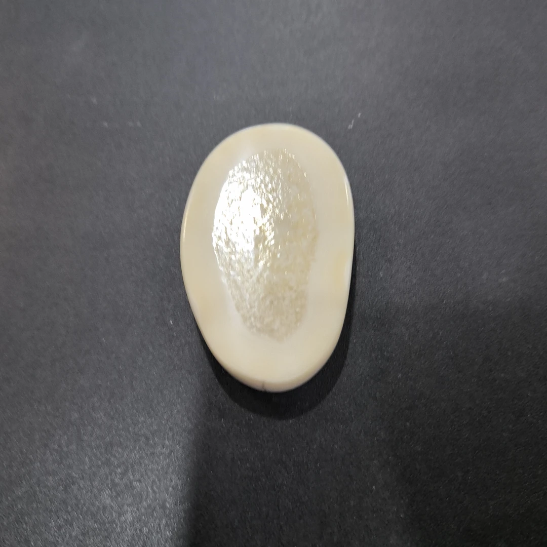 猛犸虬约48.2克饼子配饰TD224