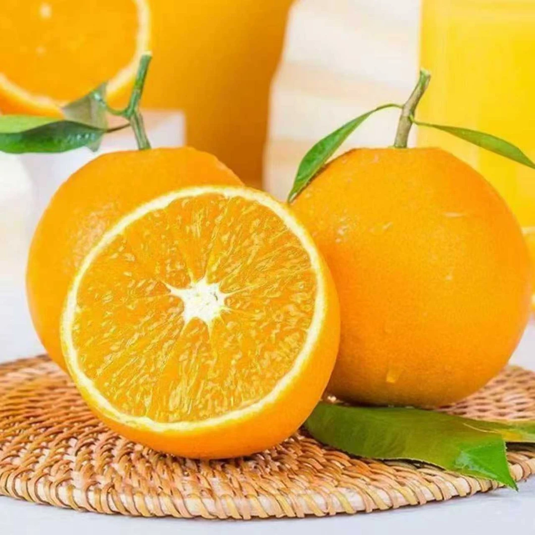 HH【试吃3个】正宗高山脐橙同品种皮薄肉厚果园直发新鲜发货