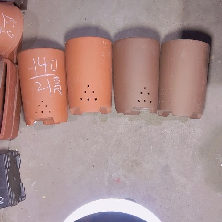 周三周四再说再说啧啧啧啧