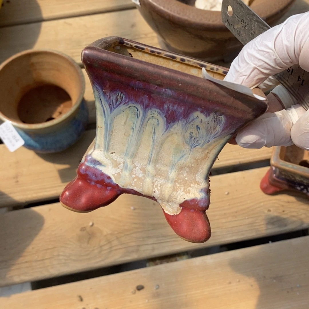 红陶陈*蜜85号多肉盆一个