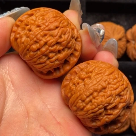 文玩核桃把件秦岭山脉核桃