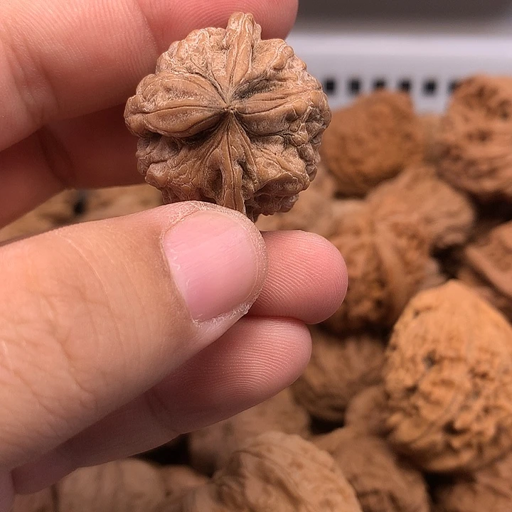 飞***觉文玩核桃吊坠核桃