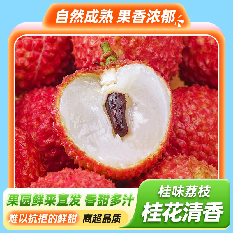 【鱼羊】广东茂名高州桂味荔枝新鲜现摘现货当季水果顺丰包邮