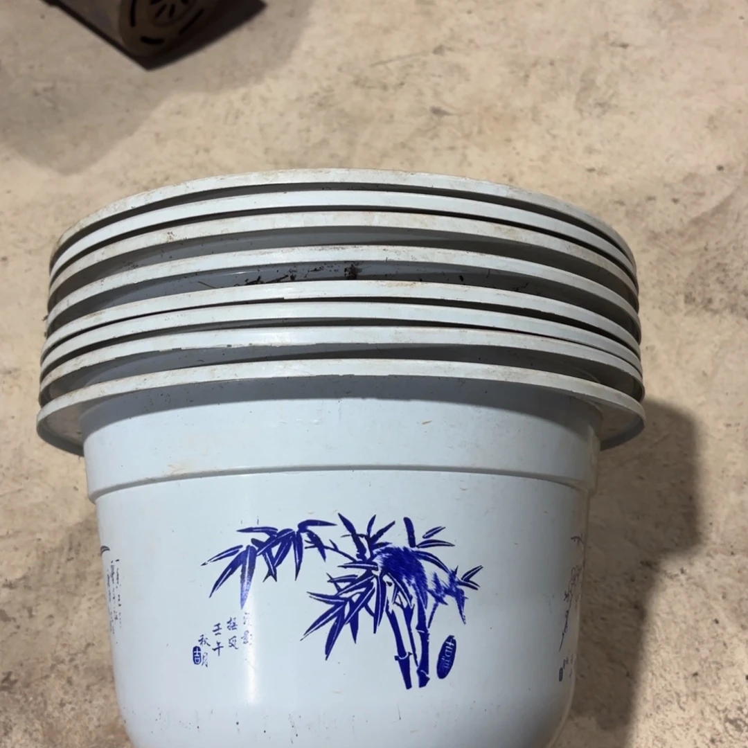 花开富贵大盆280口径发8个