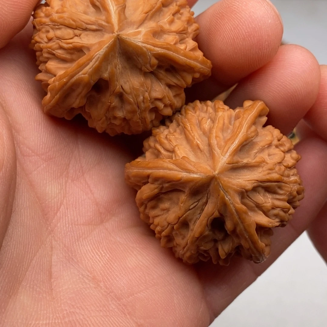 文玩核桃把件38文山三棱