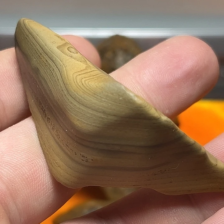 喜欢的看过来福利价