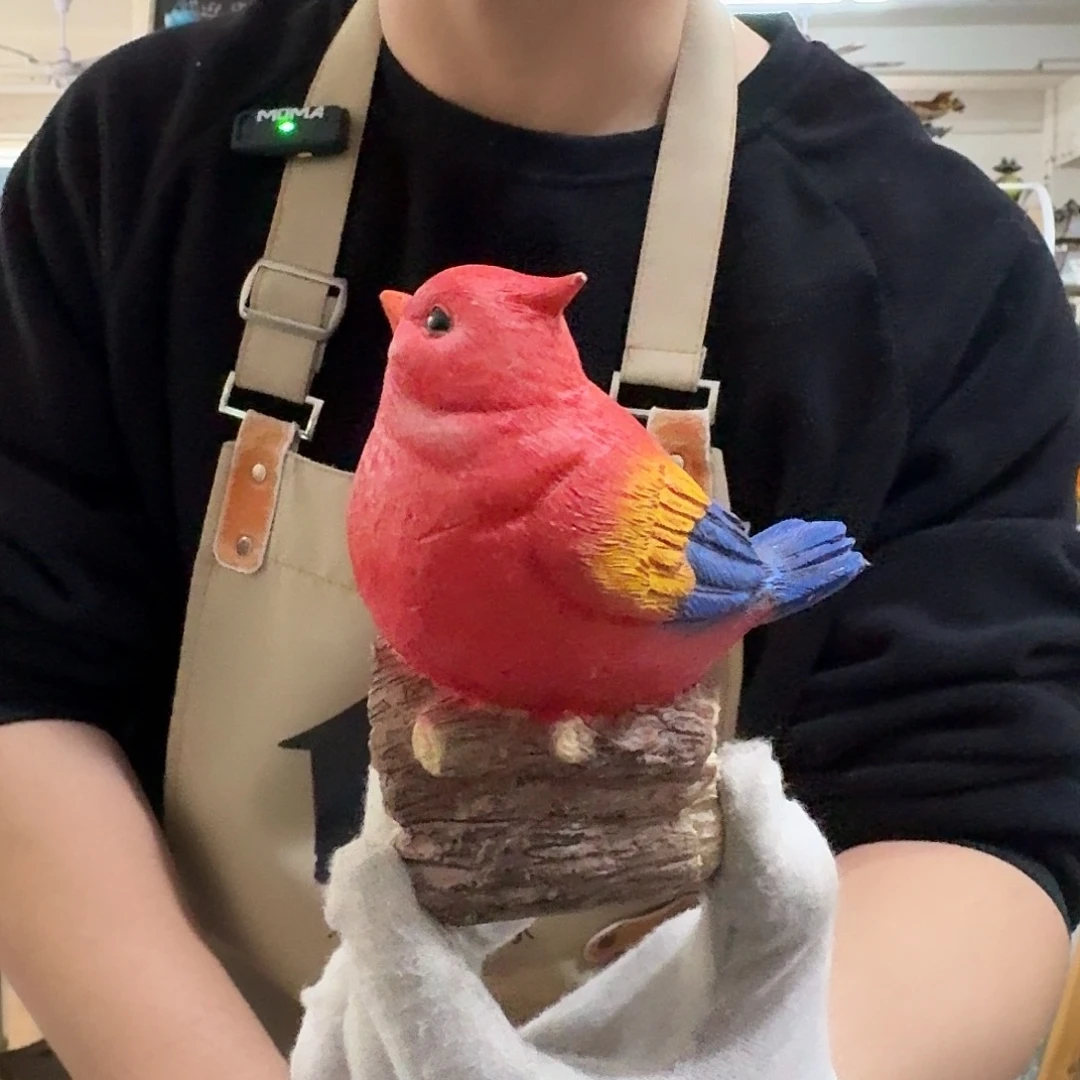 核桃木/黑胡桃（胡桃木）