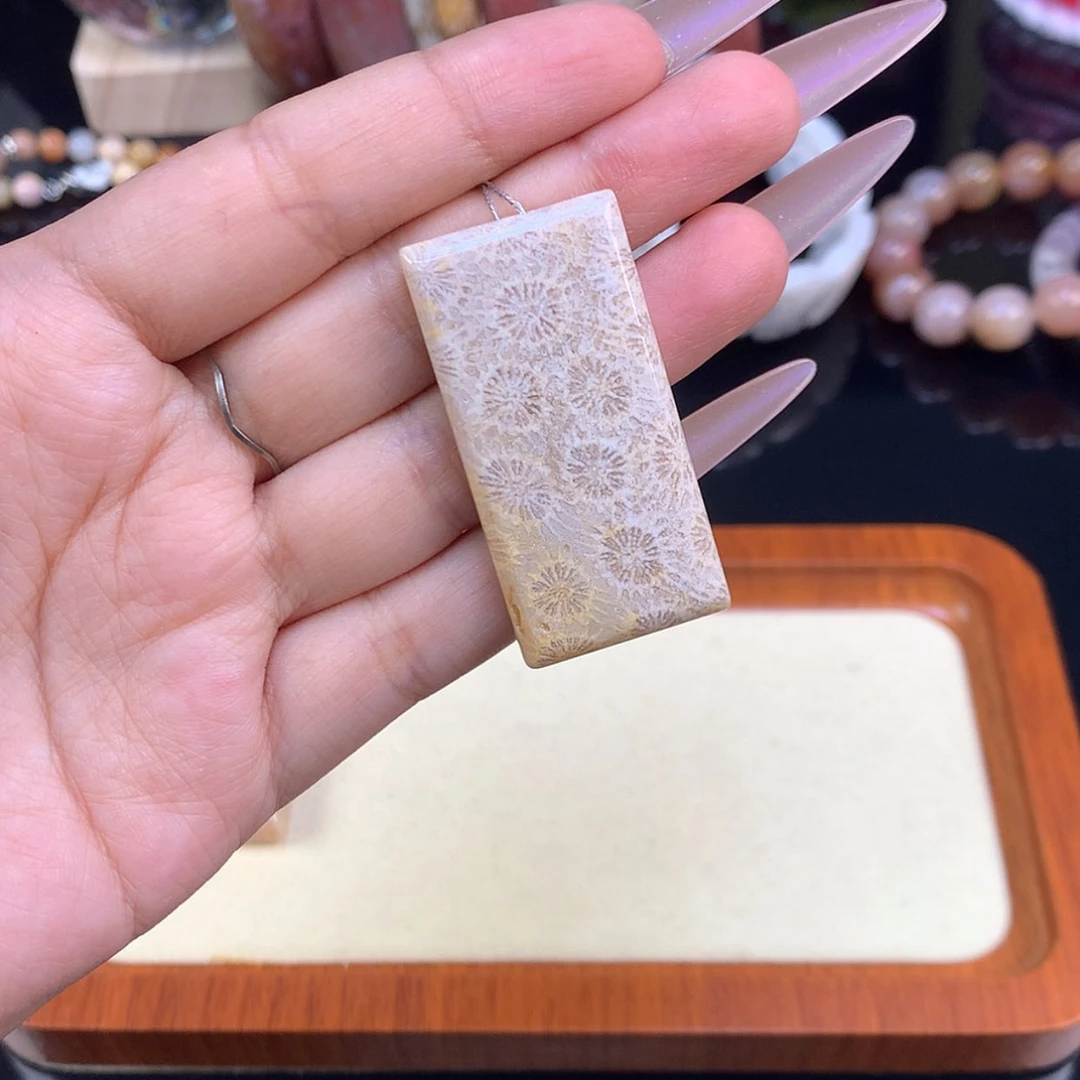 【闪购商品】颈饰未镶嵌硅化珊瑚（珊瑚玉）