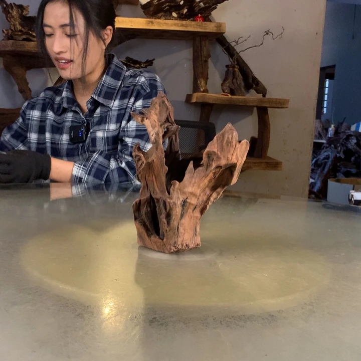 淡***点天然的云南紫柚会黄水