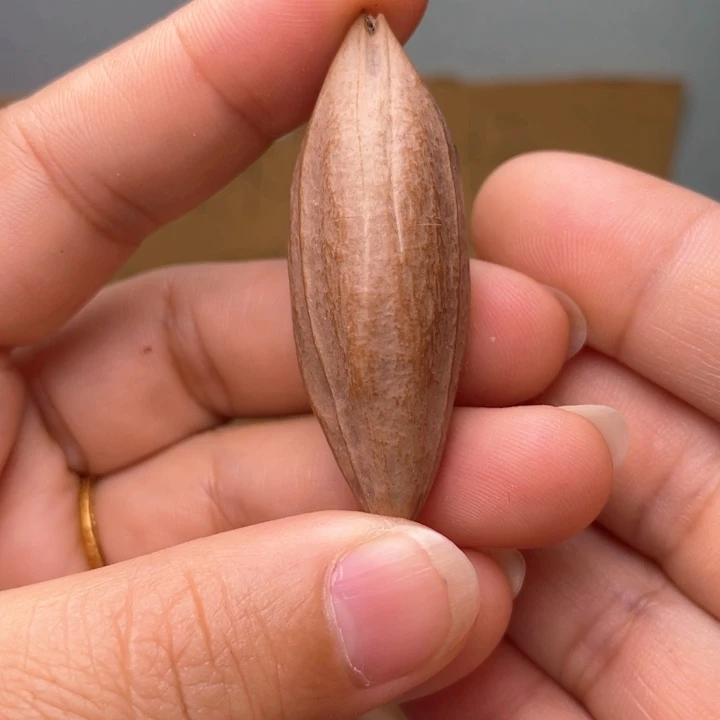 橄榄核手串/手链橄榄核大柳叶