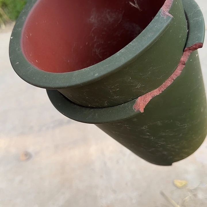 是一个不知名作家与著名导演