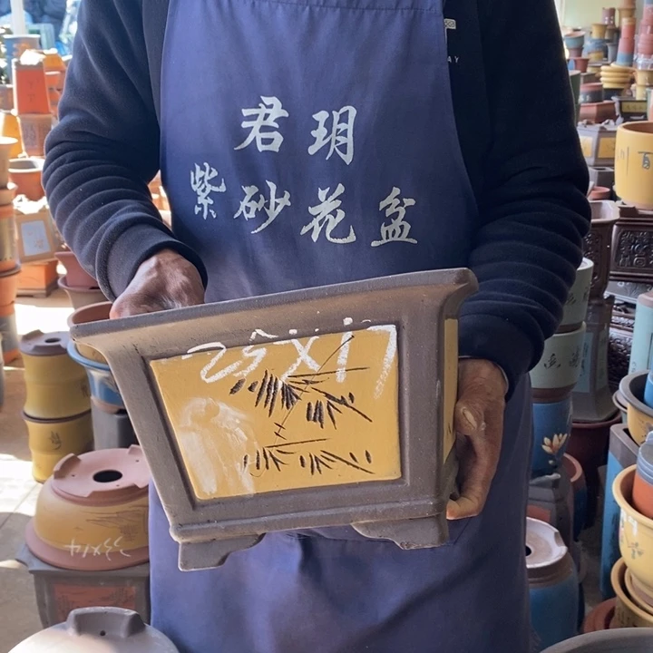 紫砂花盆盆栽花卉苗木种植