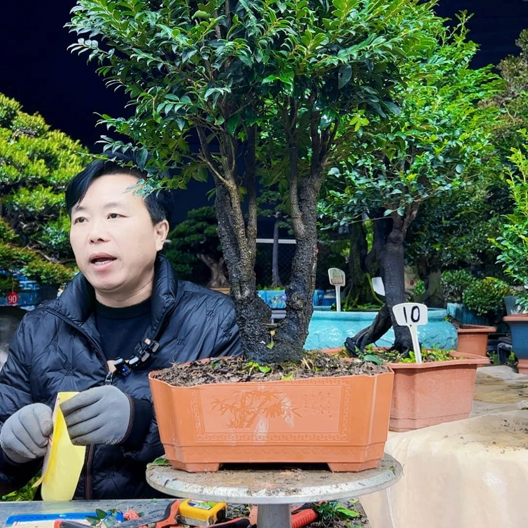 以实际为准云*明