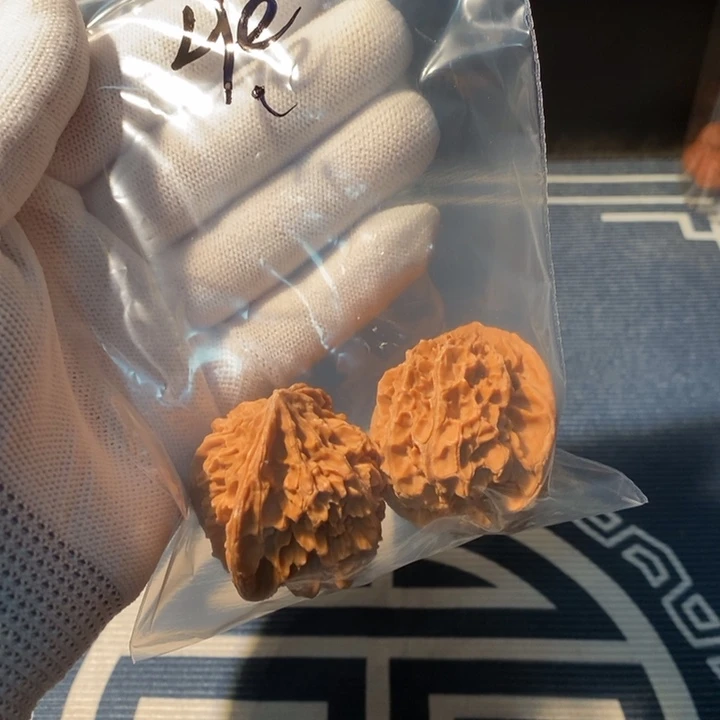 文玩核桃手串H****7…………