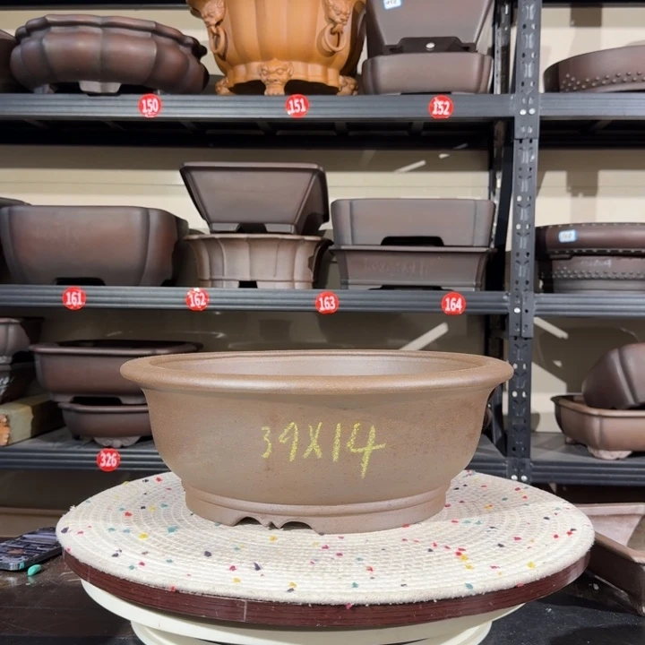 紫砂花盆呜呜呜我的宝