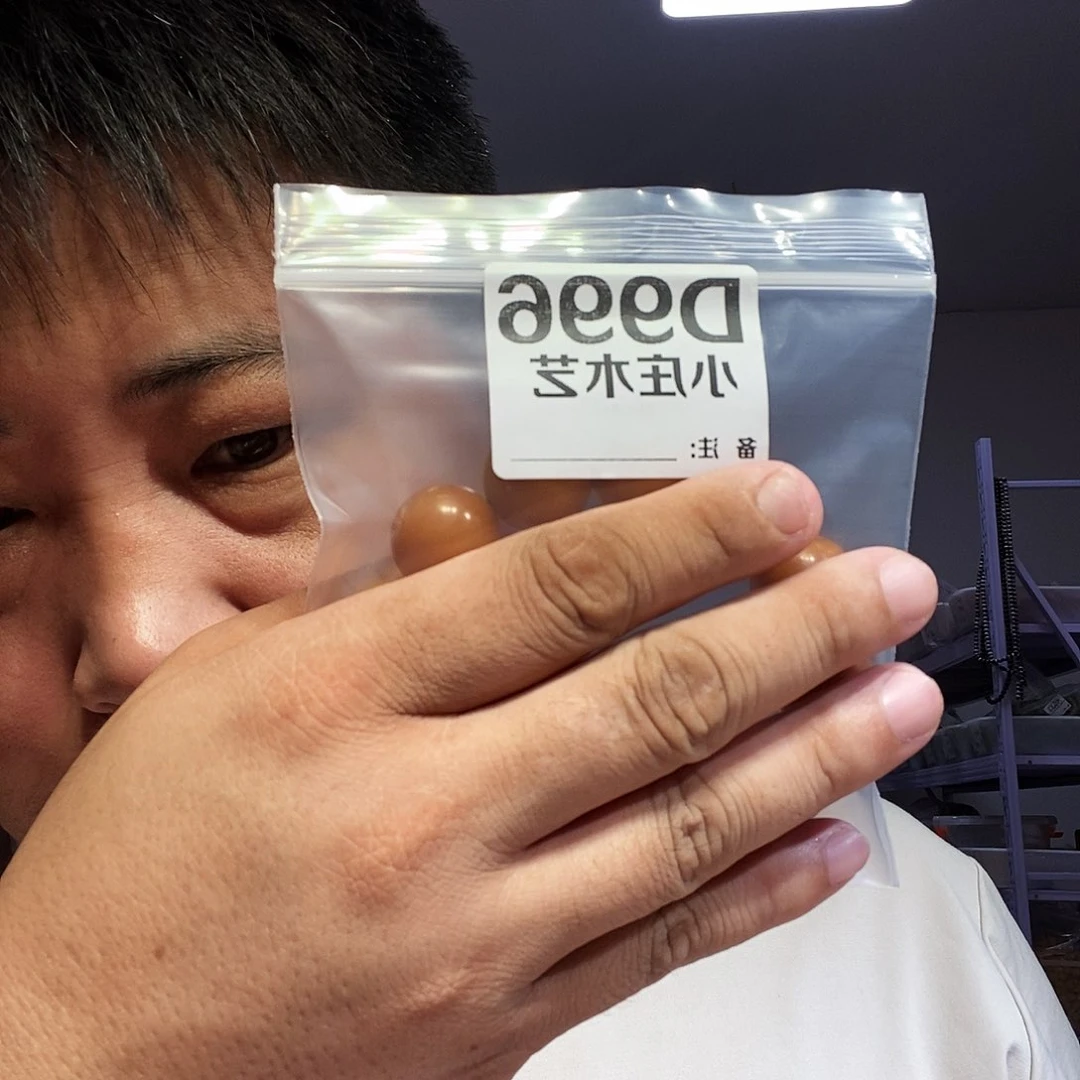 【闪购商品】黑檀木996