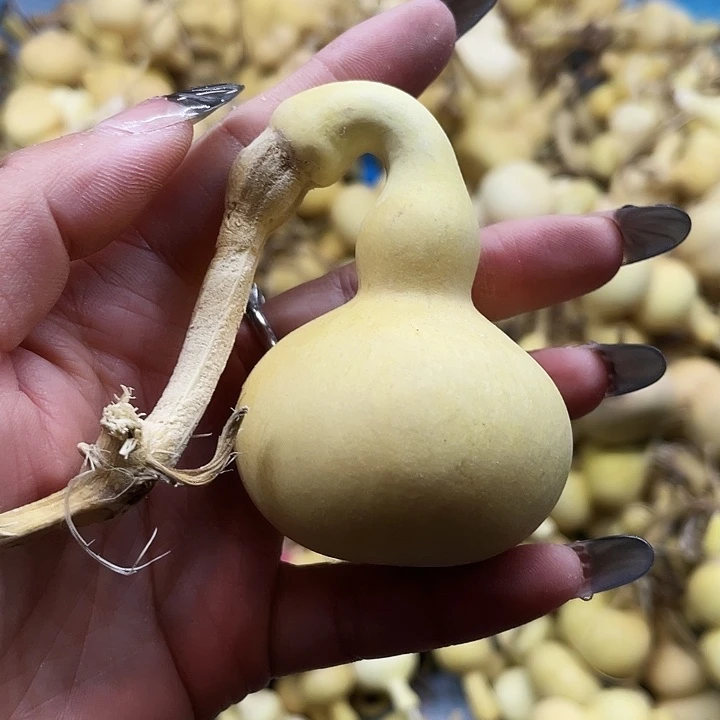 卡***机大叶紫檀（黑酸枝木类）