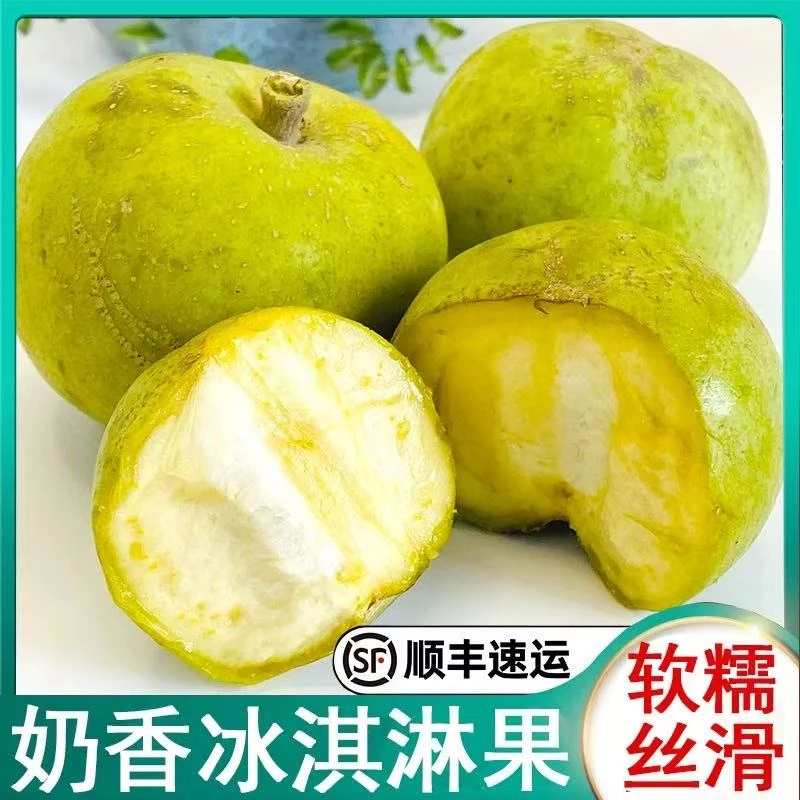 【顺丰包邮】云南冰激凌状元红白柿子稀有罕见水果2-10个装新鲜采摘