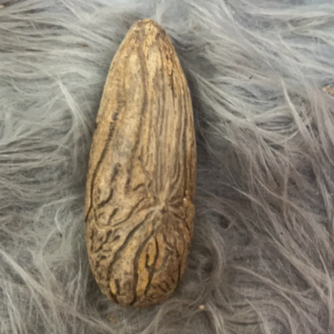 天然老树菩提果手把件大果王收藏佳品