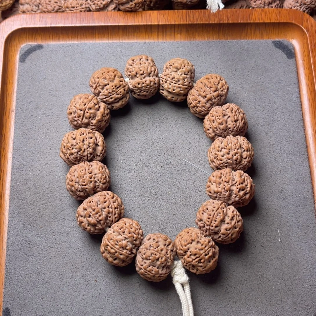 青***修菩提籽类5号金刚菩提矮壮爆肉六瓣23