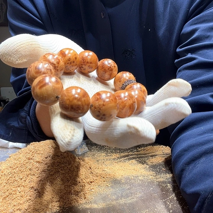 无***影柏木北太行易县料