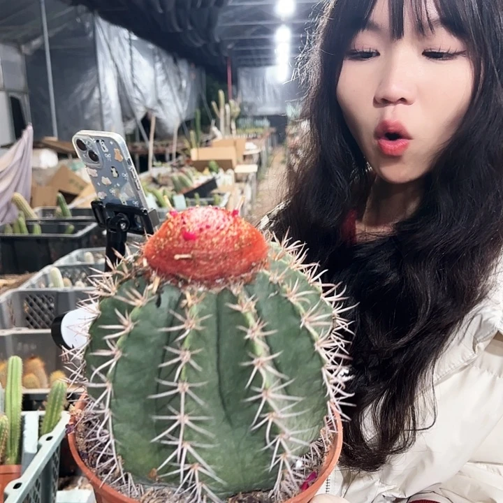 大层云111111111
