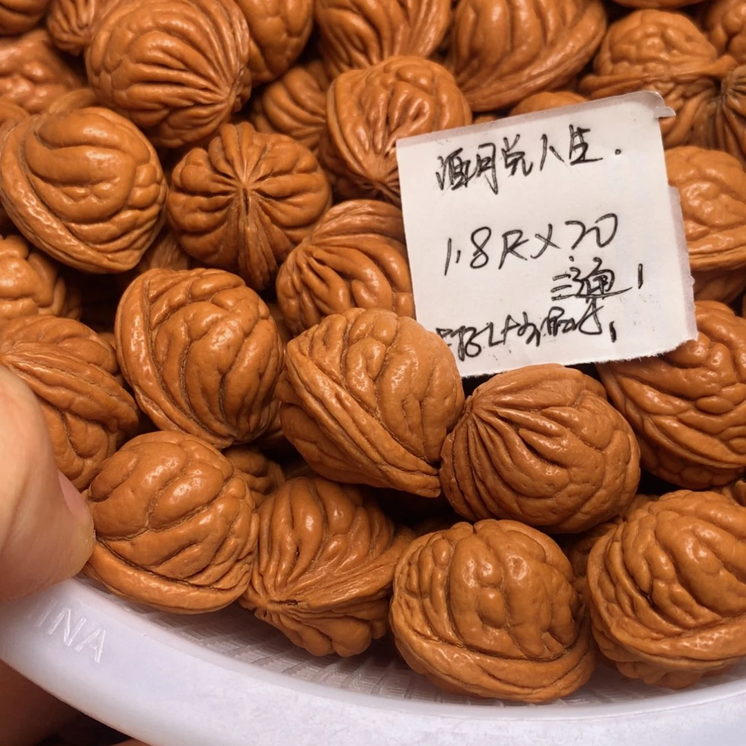 龙纹桃核霸王龙18尺