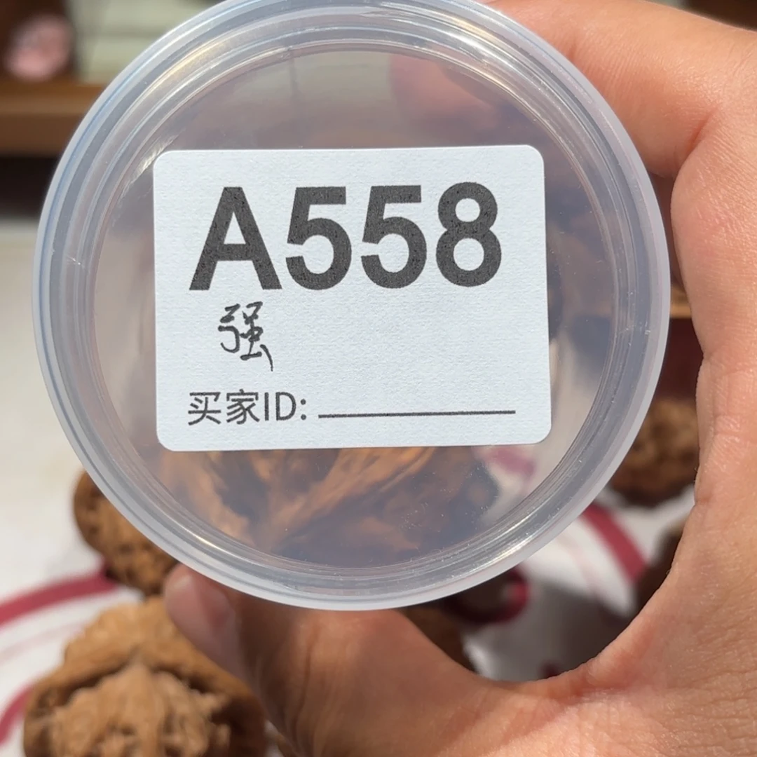强***正杨系列-正杨宫灯