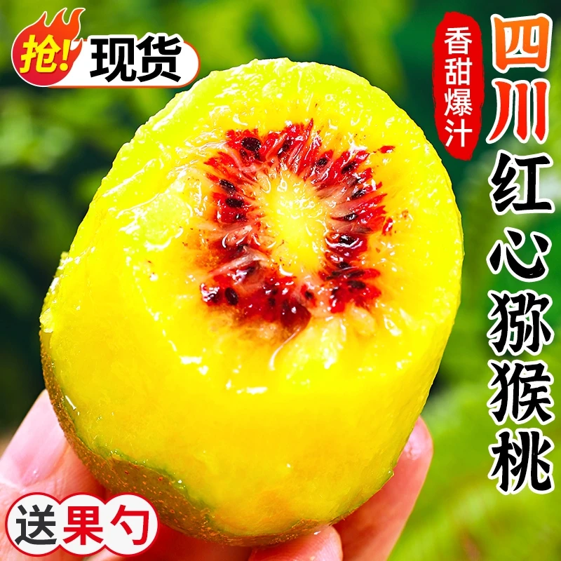正宗四川蒲江红心猕猴桃奇异果新鲜应季水果软糯香甜高维c