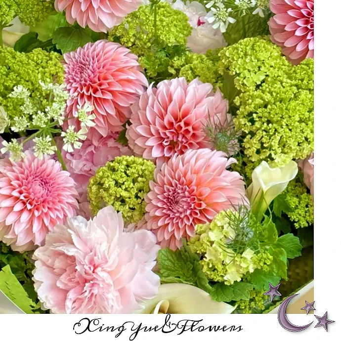【星玥鲜花】春日撞色小众花材